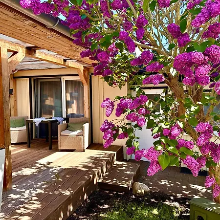 Haus Auf Der Alten Duene *